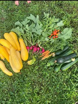 Garden fresh vegetables