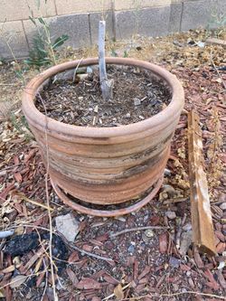 Free pot