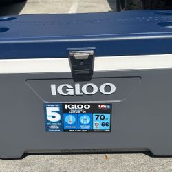 Igloo Cooler