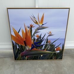Birds of Paradise Canvas Print