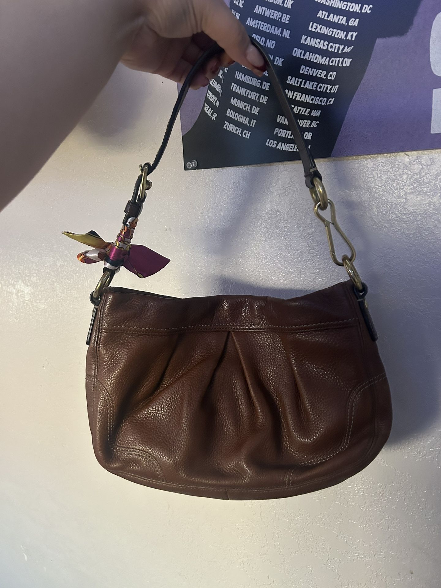 Brown Coach Hampton Hobo Shoulder Bag