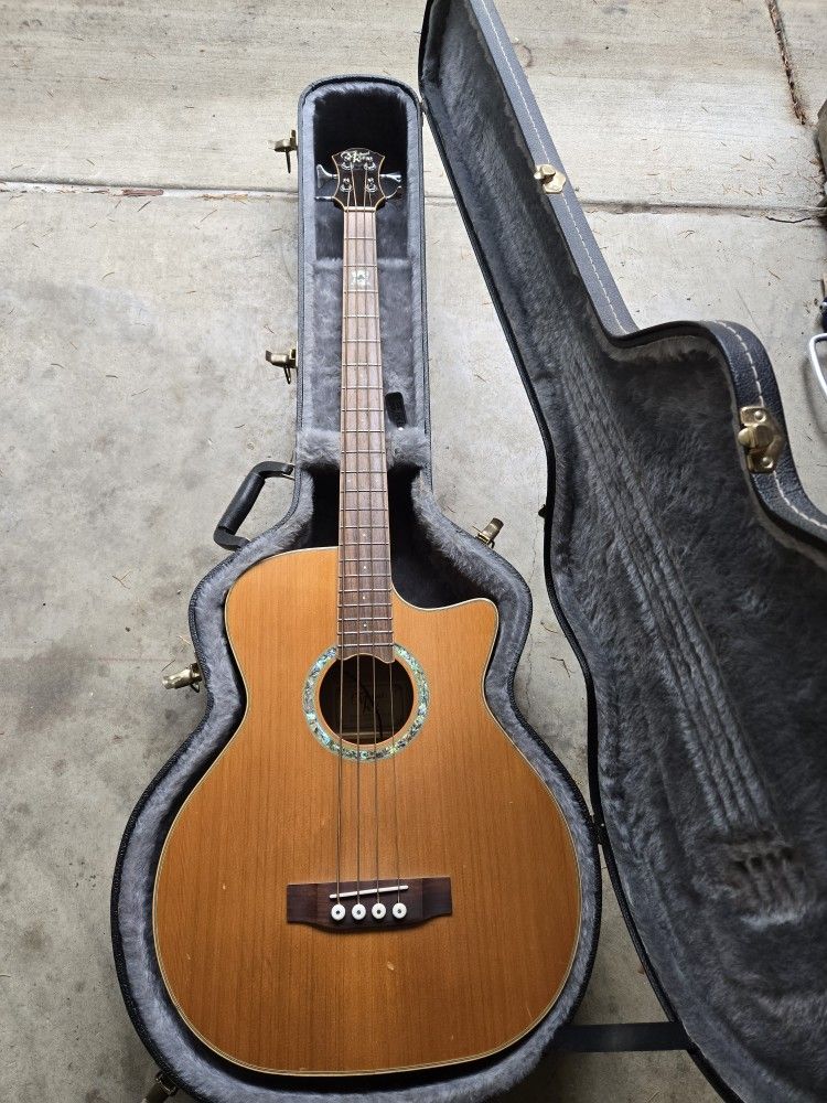 Michael Kelly-Acoustic/Electric Bass