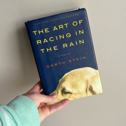 The Art Of Racing In The Rain