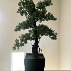Faux Bonzai Tree