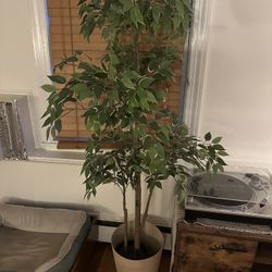 Fake Plant