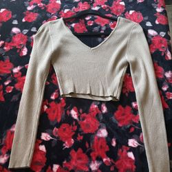 Light Brown Crop Top 