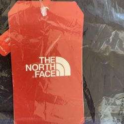 Brand New The Noth Face Women Apex Bionic 2 Jacket Galaxy Purple
