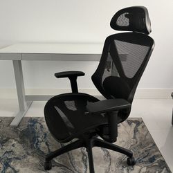 Costco Office Computer Chair