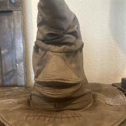 Harry Potter Hat