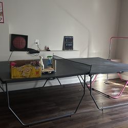 Ping Pong Table 