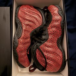 Men’s 8.5 Foamposite