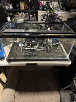 40 Gal Fish Tank with Starter Kit