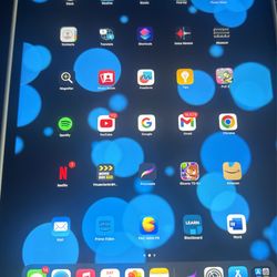 Apple iPad 