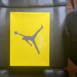 Air Jordan Lightning 4’s