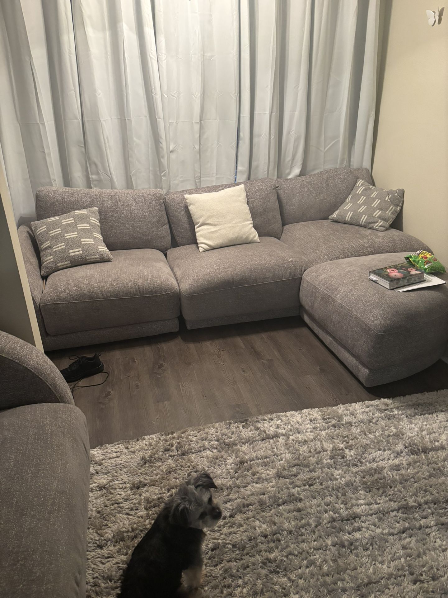 Ashely Sectional Couches