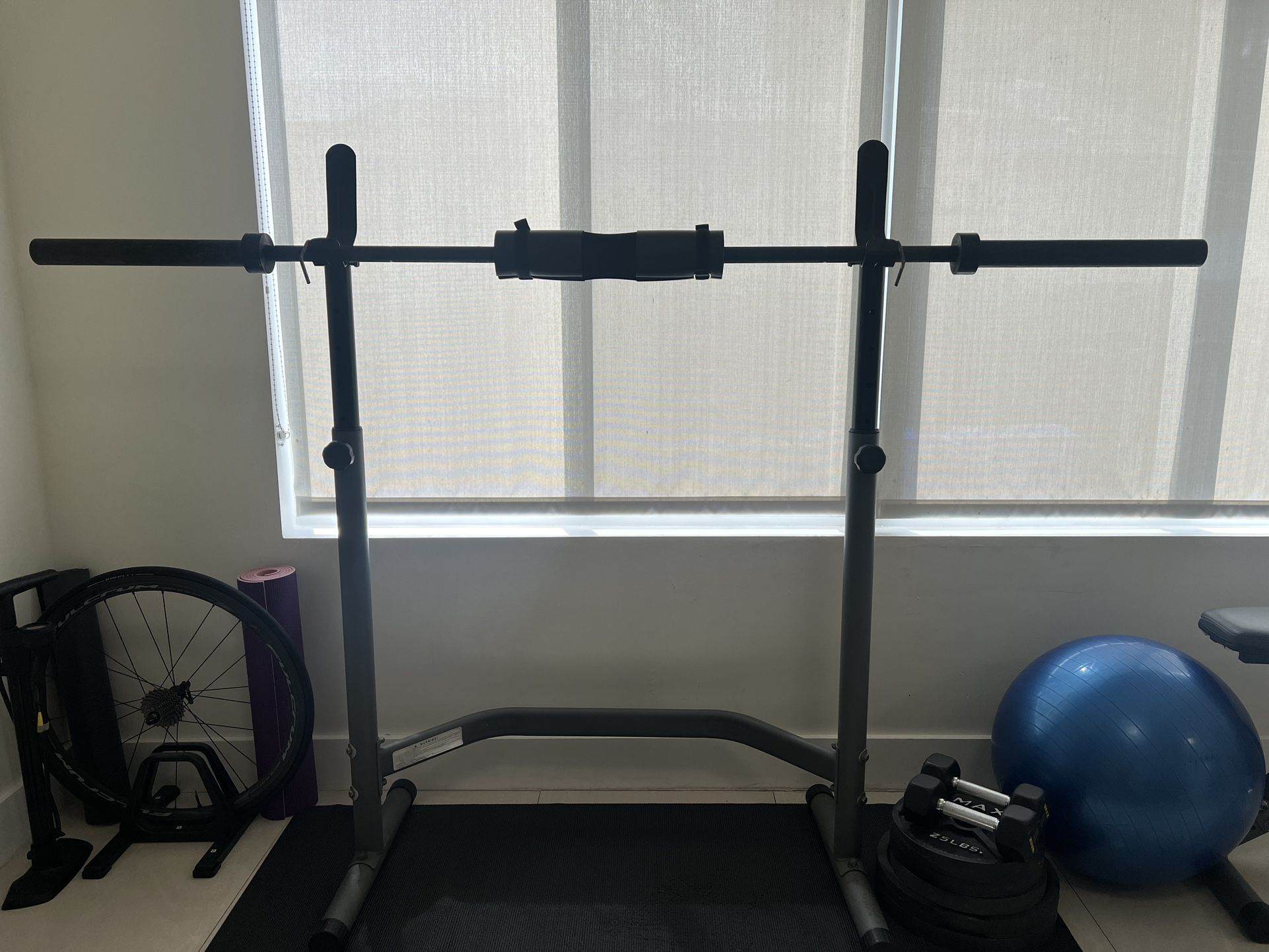 Standard Weight Bench, Bench Press Set - Home Gym Full-Body Workout 