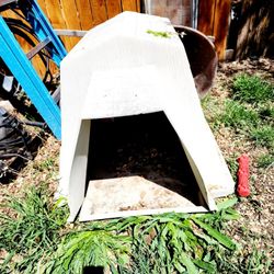 Dog House 