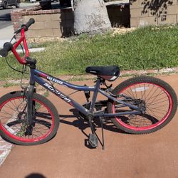 Kids Schwann Bike