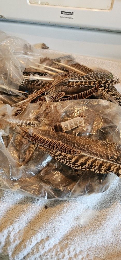 Bag Of Feathers