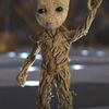 Groot 