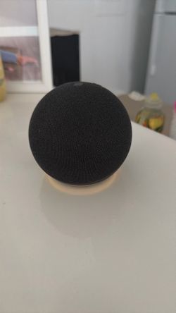 Echo Dot