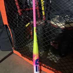 Easton Dub Bat 