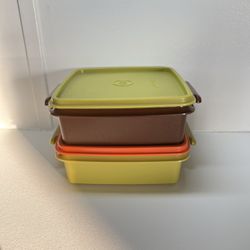 Vintage Tupperware Sandwich Keeper