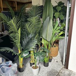 Large Faux Plants (Home / Office Decor)