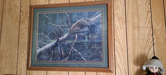 Framed bear art