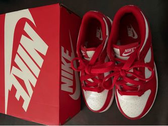Nike dunks little kids