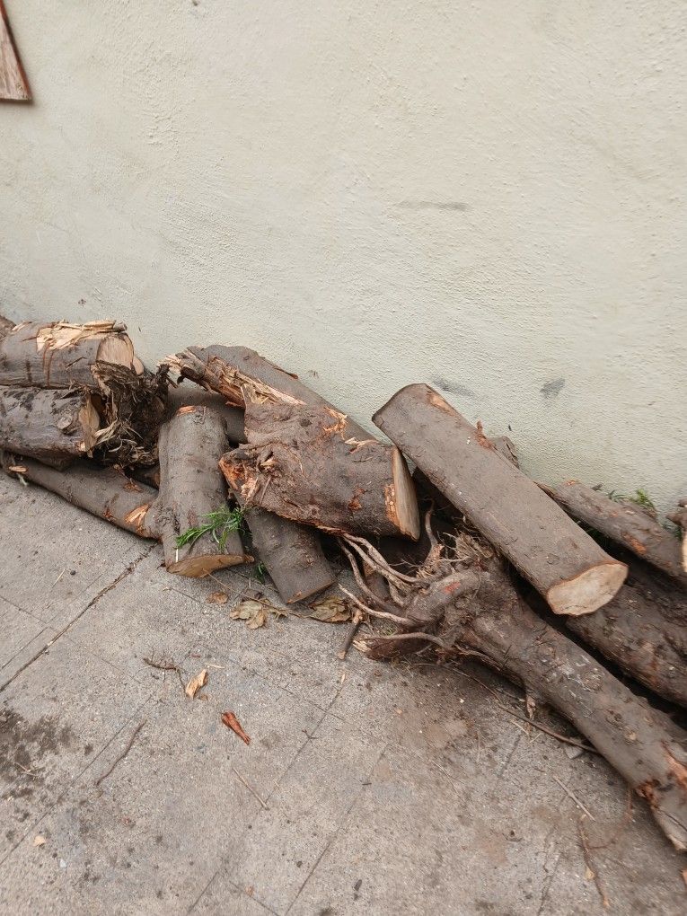 Free firewood