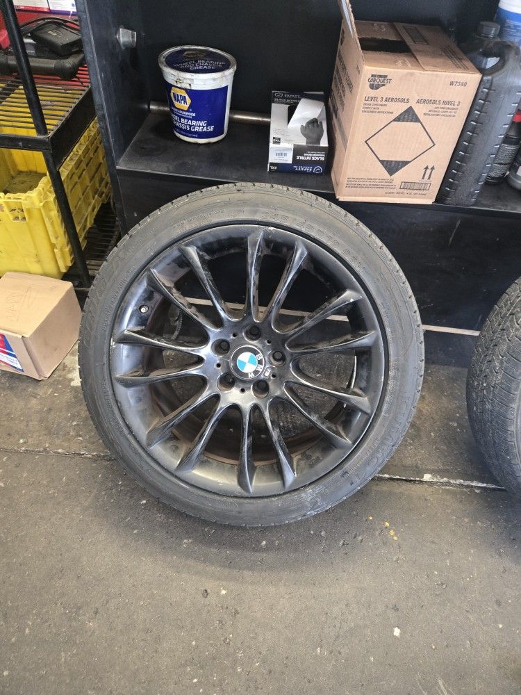Tires Brand New 700