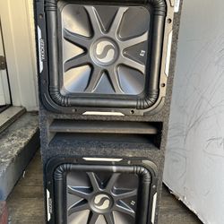 12” Subwoofer
