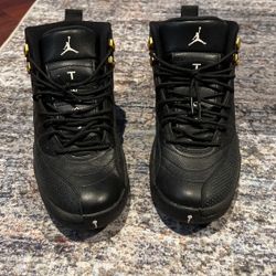 Air Jordan 12 Masters