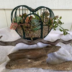 Metal Heart With Colorful Succulent’s 