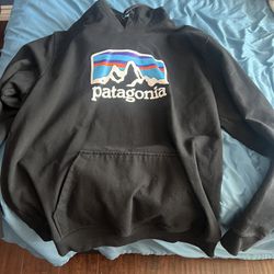 Patagonia Hoodie Size-XL