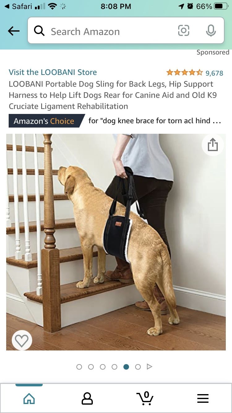 LOOBANI Portable Dog Sling for Back Legs Size M