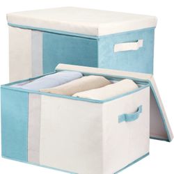 Storage Bins With Lids