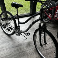 Schwinn Skyliner Bike