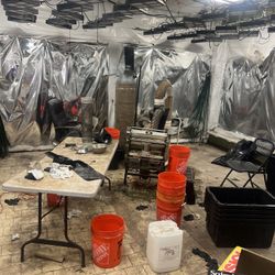 T4 Trimmer And Trim Savor