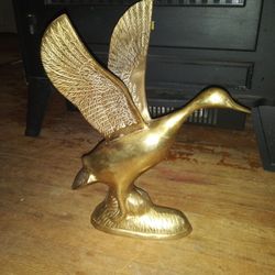 Solid Brass Hood Ornament