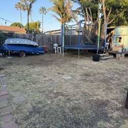 Yard Clean Up