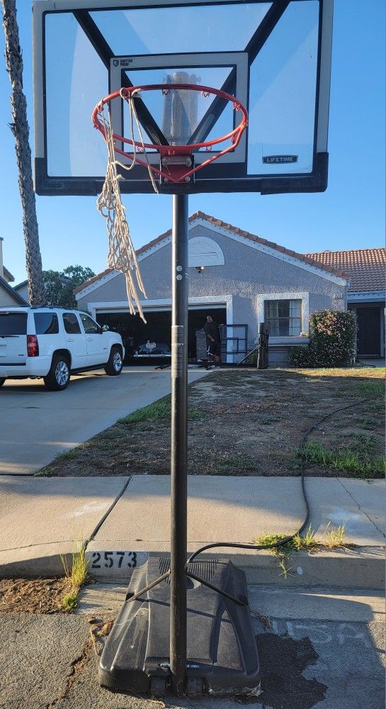 Lifetime Basketball Hoop