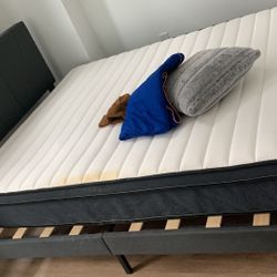 Queen Size Mattress In Good Conditions 