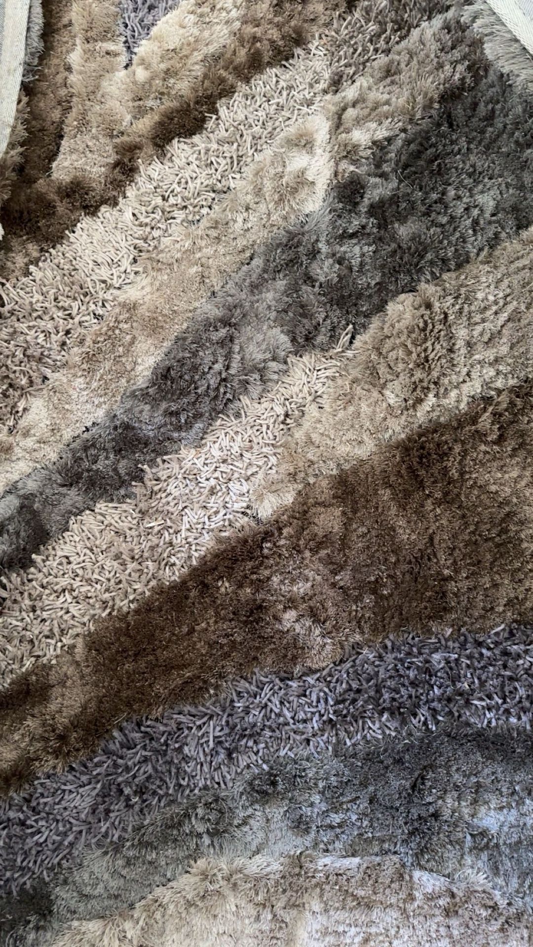 5X8 Area Rug