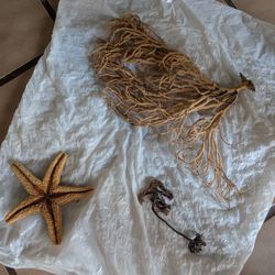 Various Sea Fans And Sea Starfish