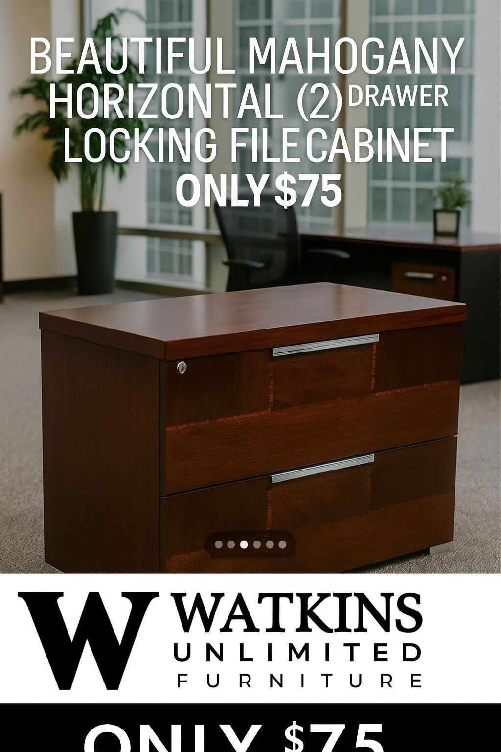 ✨ BEAUTIFUL 2 DRAWER HORIZONTAL FILE CABINET  – FREE LOCAL DELIVERY ✨