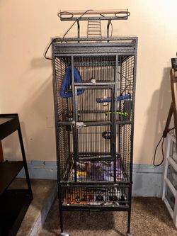 Bird Cage + Play Area