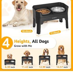 3-in-1 Elevated Dog Bowls Mess Proof Raised Slow Feeder Dog Bowls