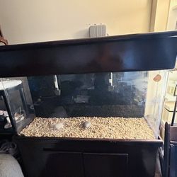 Fish Tank For Sale 